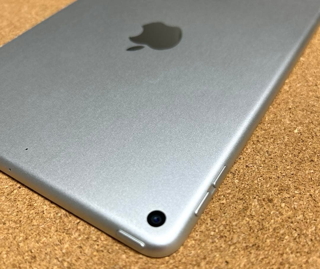 iPad mini5 第5世代 64GB (40) 91%