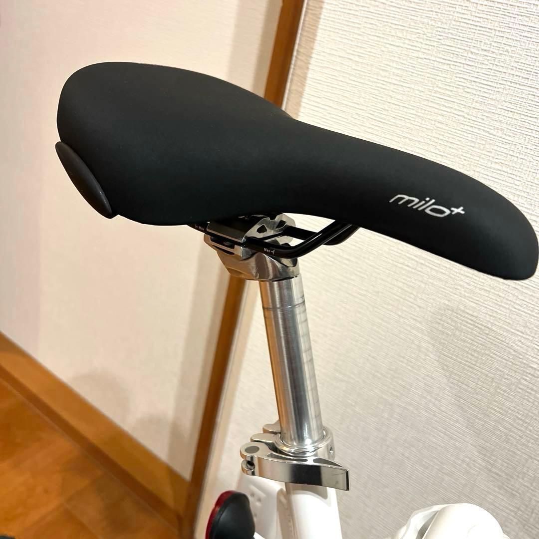 nanoo 折畳 OX エンジニアリング PECO ダホン ターン キャリーミー