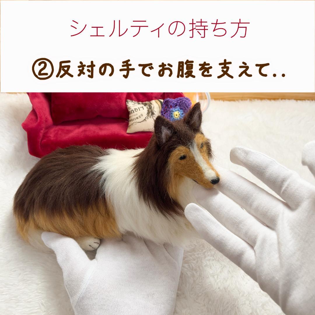 さらです