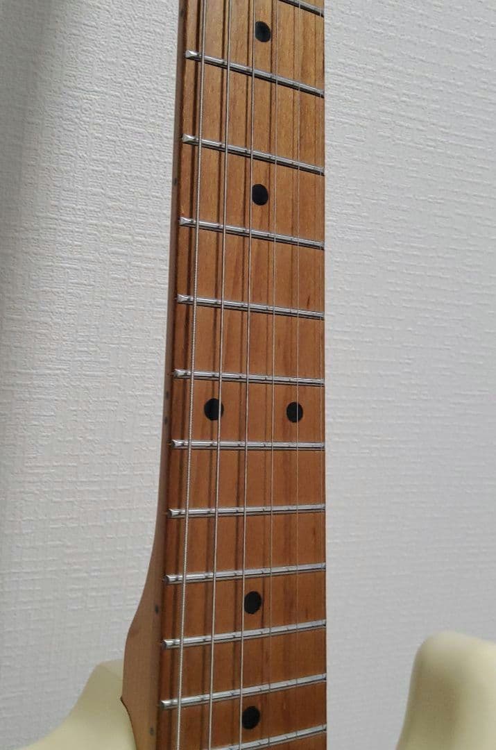 BACCHUS BST-2 RSM/R OWH ロックペグ他 美品 お得