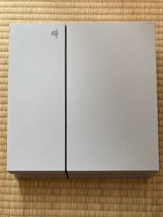 本体