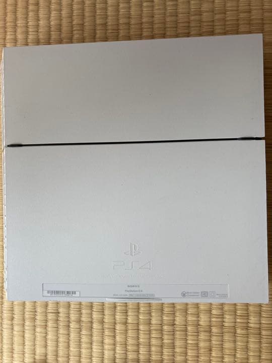 本体