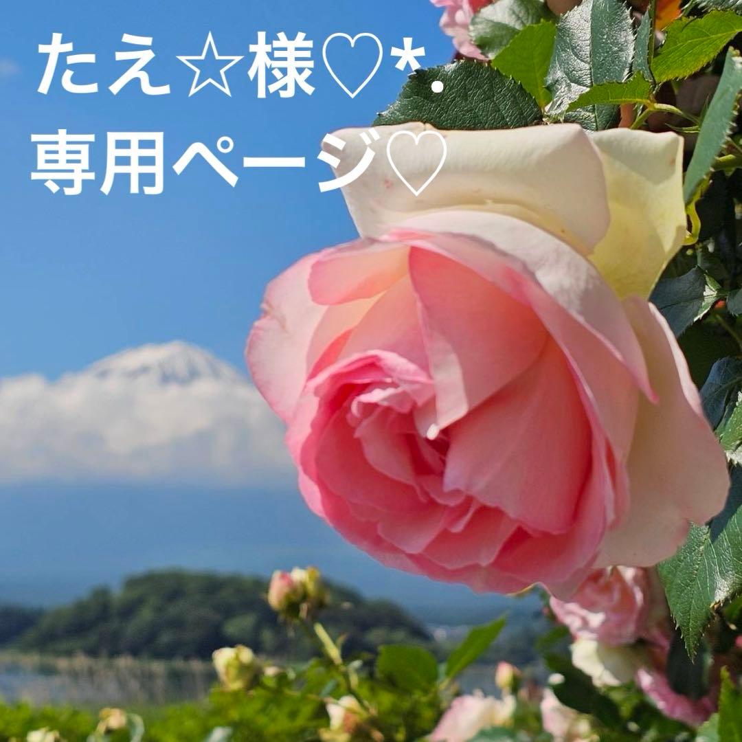 たえ☆様♡*.スワロフスキー♡サンキャッチャー♡チャーム♡