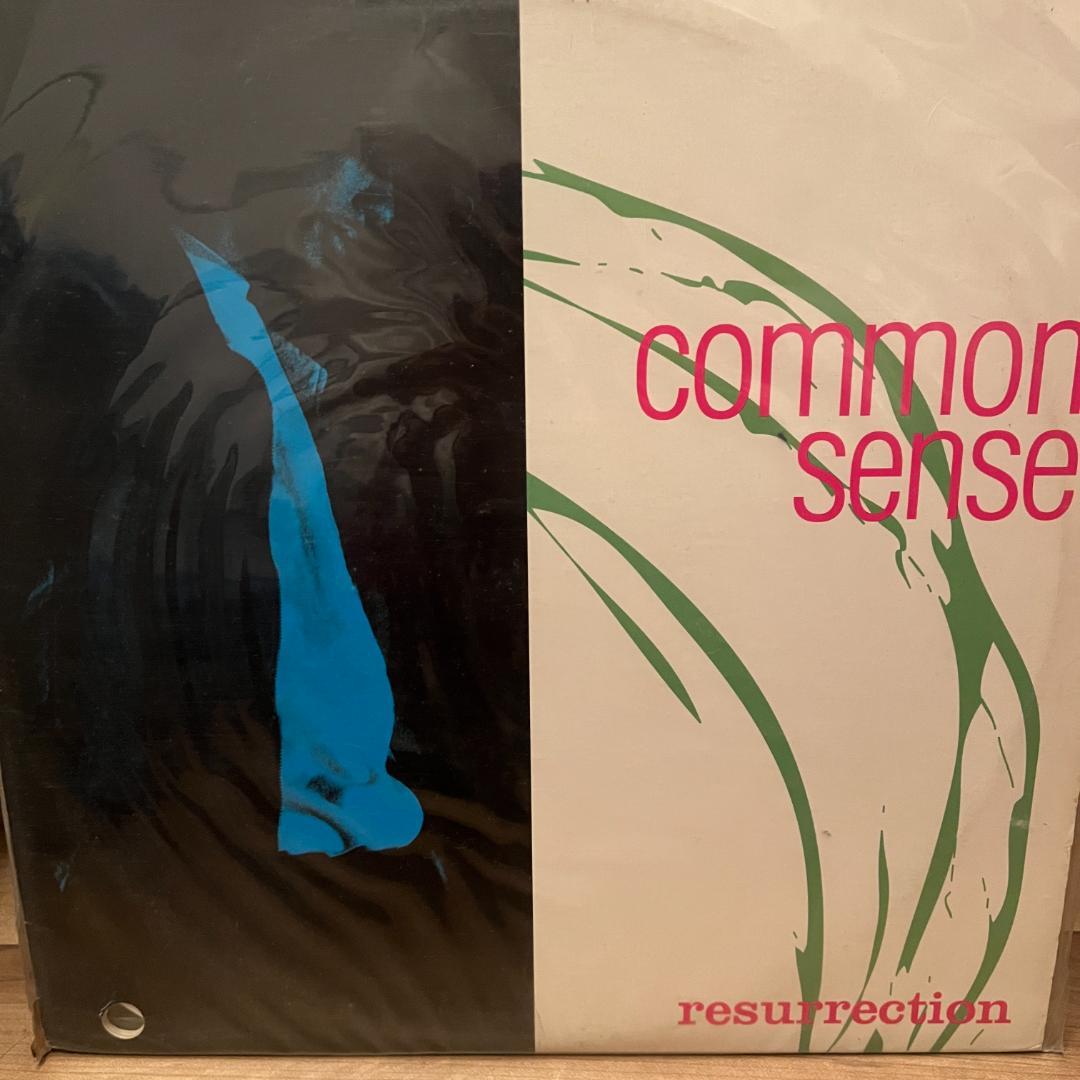 USオリジナル盤 common sense resurrection LP