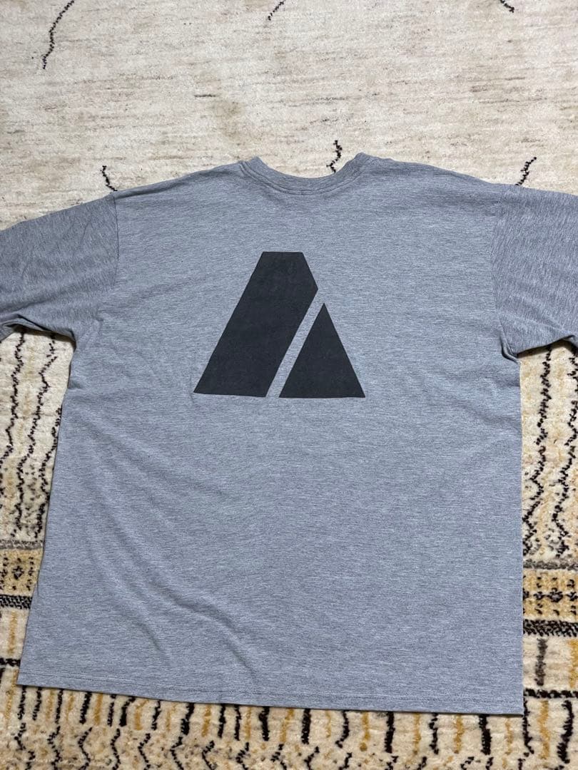 アインシュタイン Tシャツ グレー