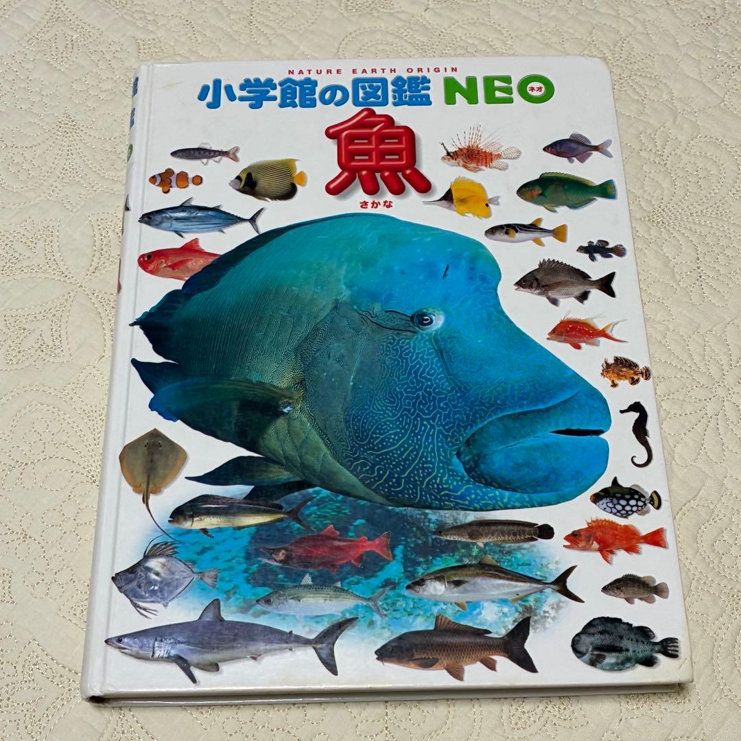 【即日発送】美品 ネオ図鑑 まとめ売り おすすめ 幼児 小学生 10冊セット
