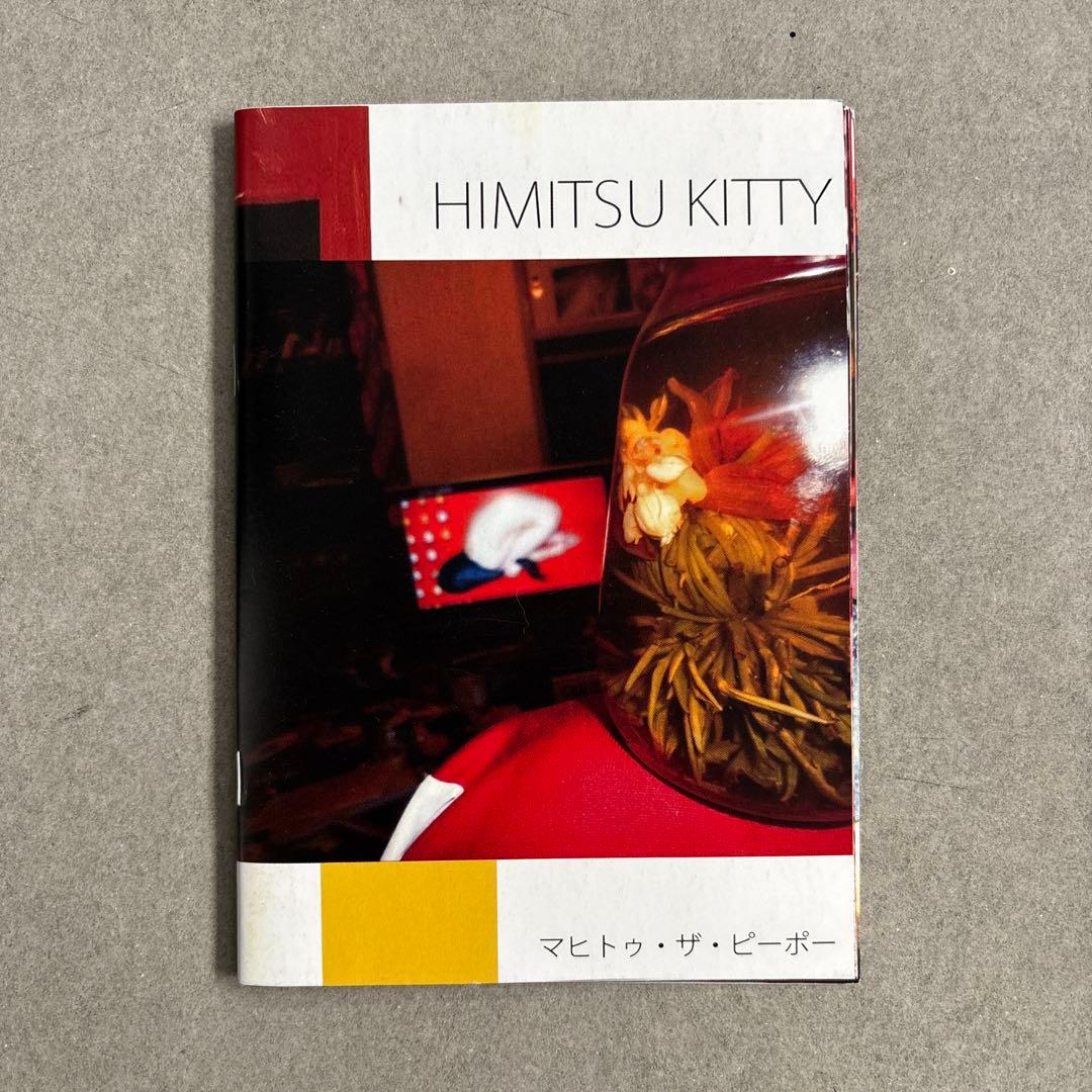 【廃盤】GEZANマヒトゥ・ザ・ピーポー 「HIMITSU KITTY」 下山