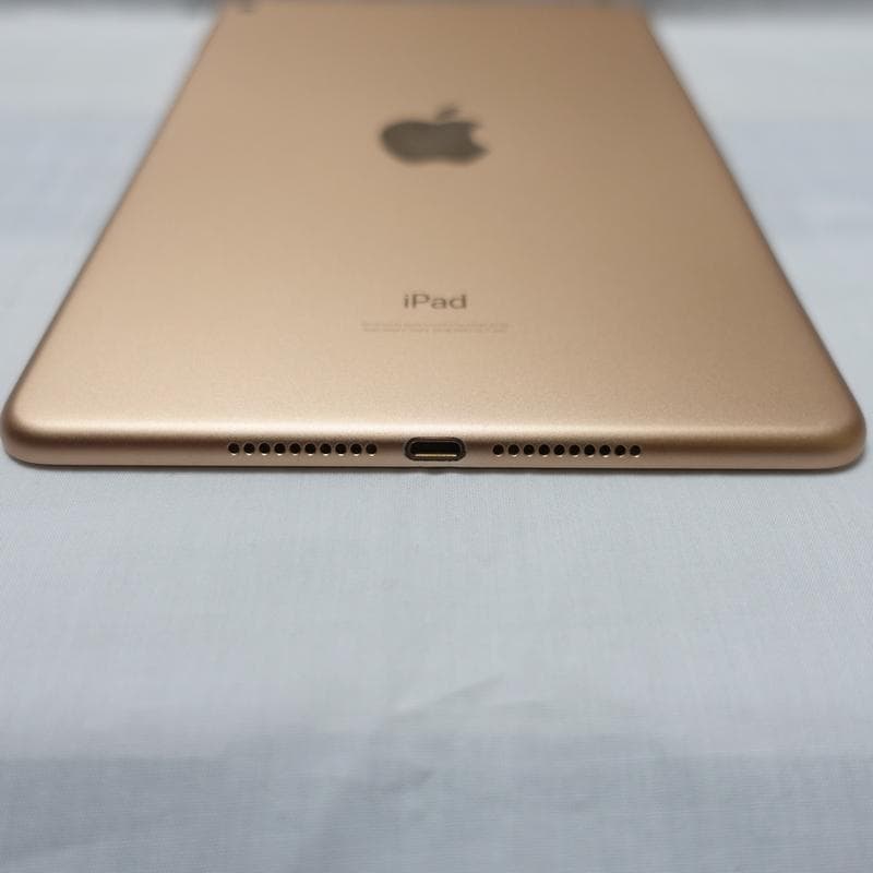iPad mini 5 64GB Wi-Fi ゴールド