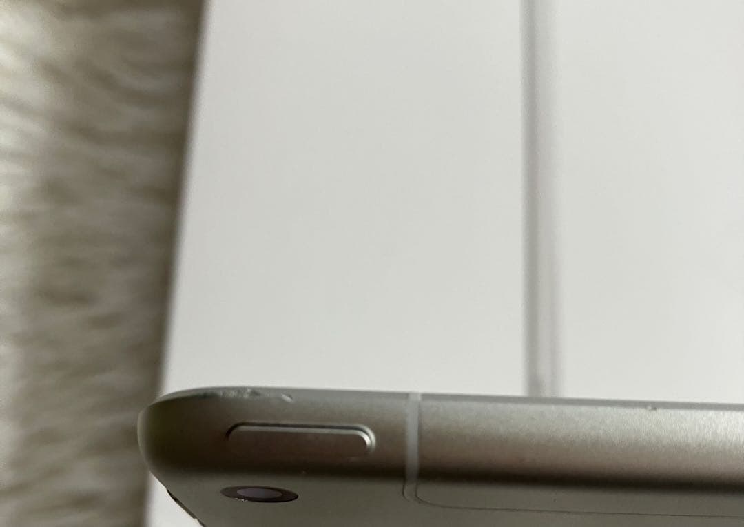 【1台限定価格】iPad mini5 64GB SIMフリー 【すぐ発送】