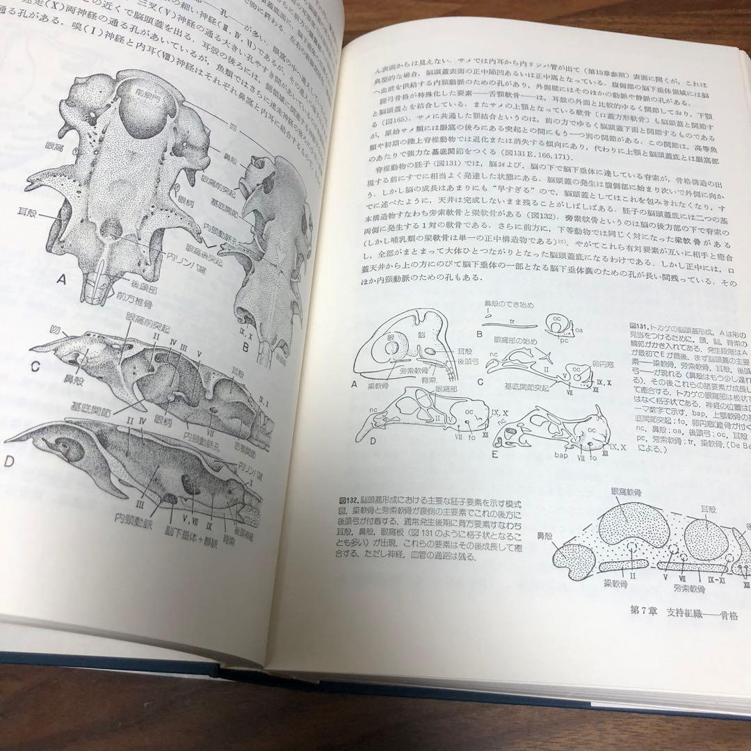 脊椎動物のからだ その比較解剖学 第5版 第4刷 A.S.ローマー 平光れい司