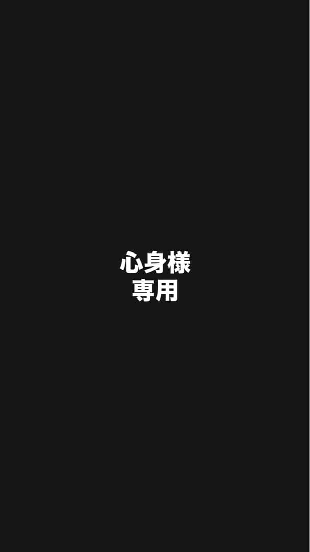 【心身】コブラーシート　サイドバック