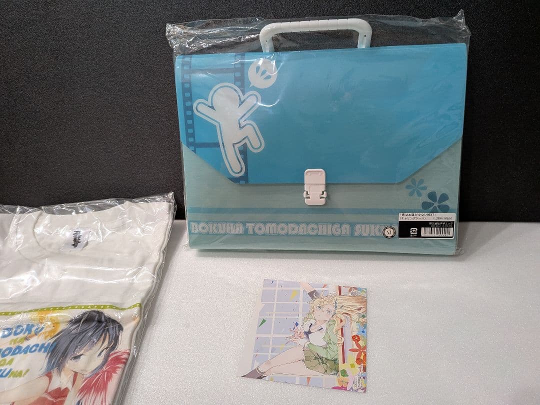 僕は友達が少ない　ラノベ全巻　コミック全巻 Tシャツ キャリングケースなど