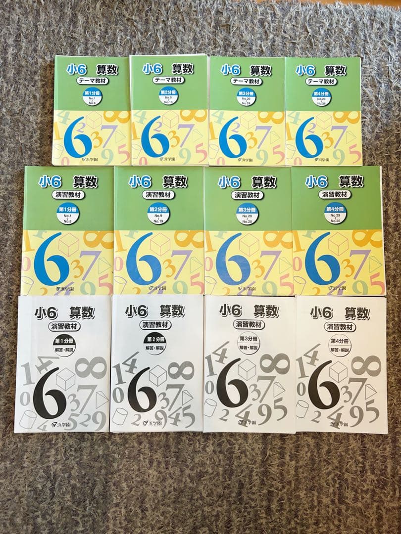 らりるれろ【裁断品】浜学園 小6 テーマ教材 演習教材 難問解説集付