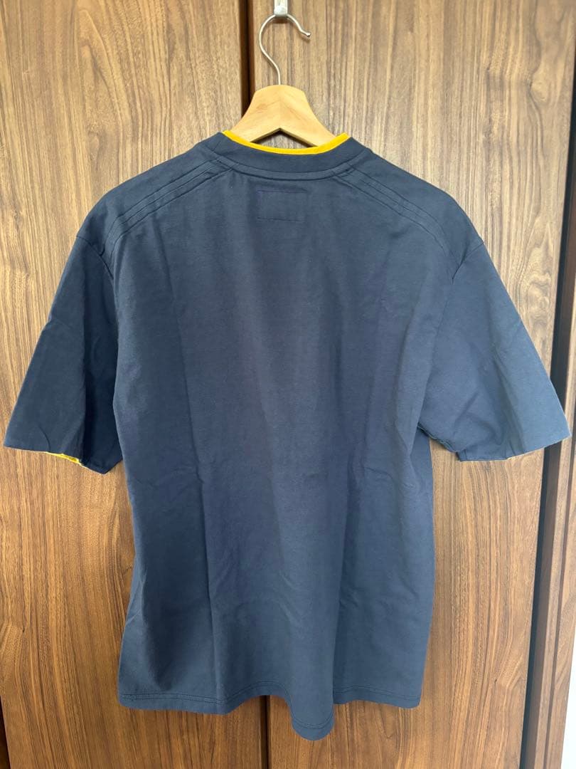 THE NORTH FACE purple label tシャツ