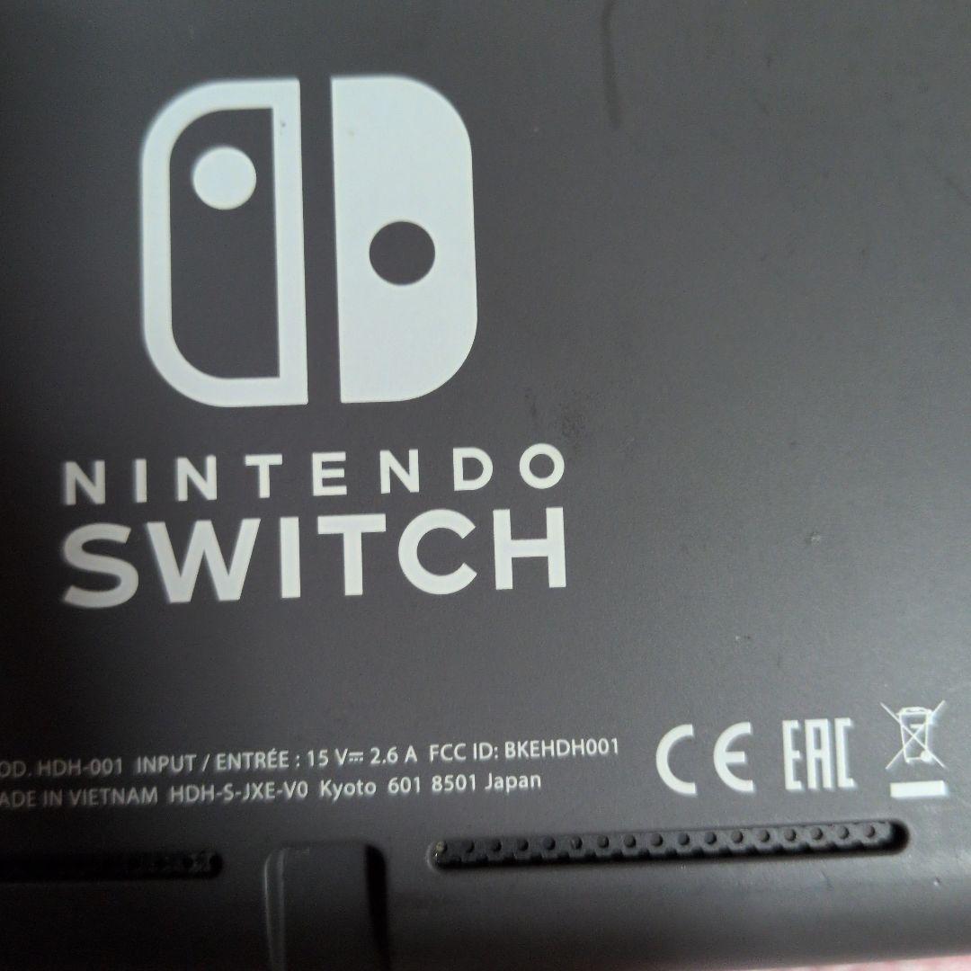 Switch Light スイッチライト ジャンク 本体 ブラック