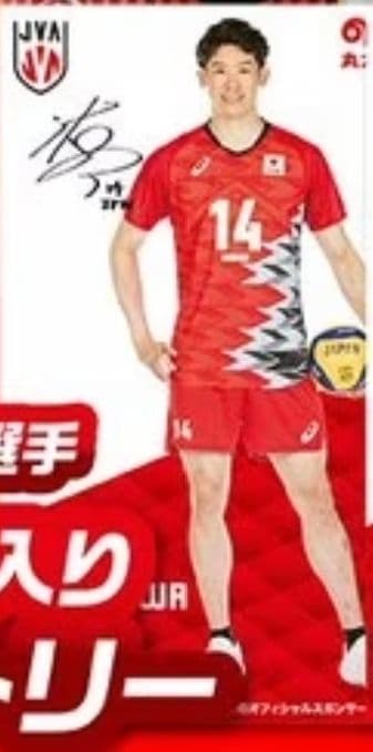 【石川祐希】男子バレーボール日本代表 丸大食品 等身大 タペストリー