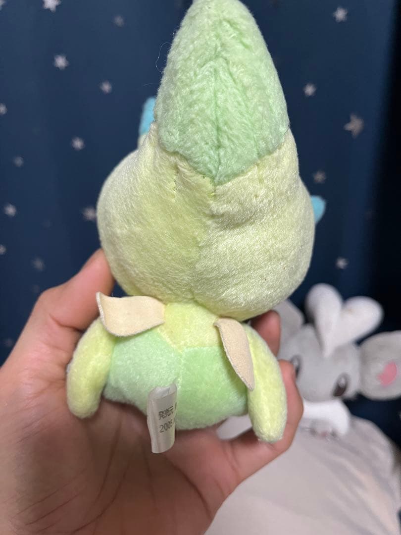 ポケモンぬいぐるみ　ポケドール　5セット