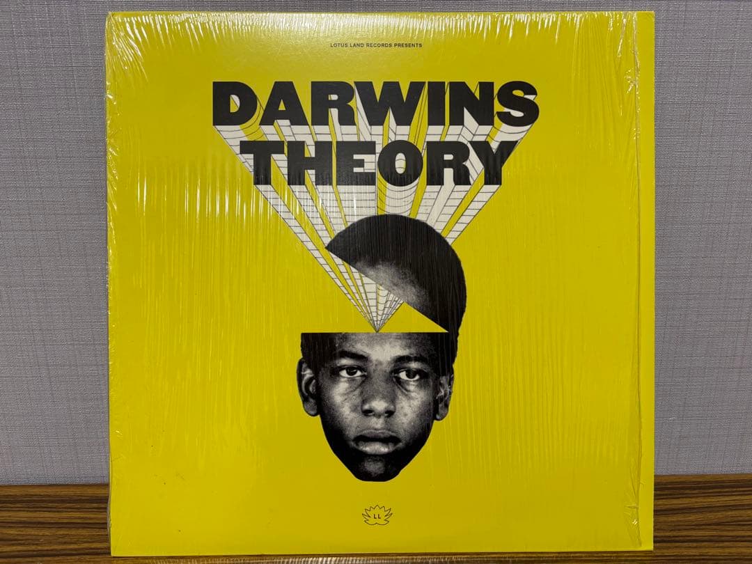 洋楽 DARWINS THEORY LP