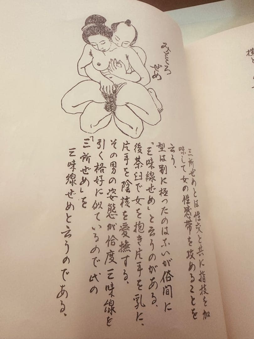 浮世絵 春画 本 和本 古書 日本美術 イラスト集