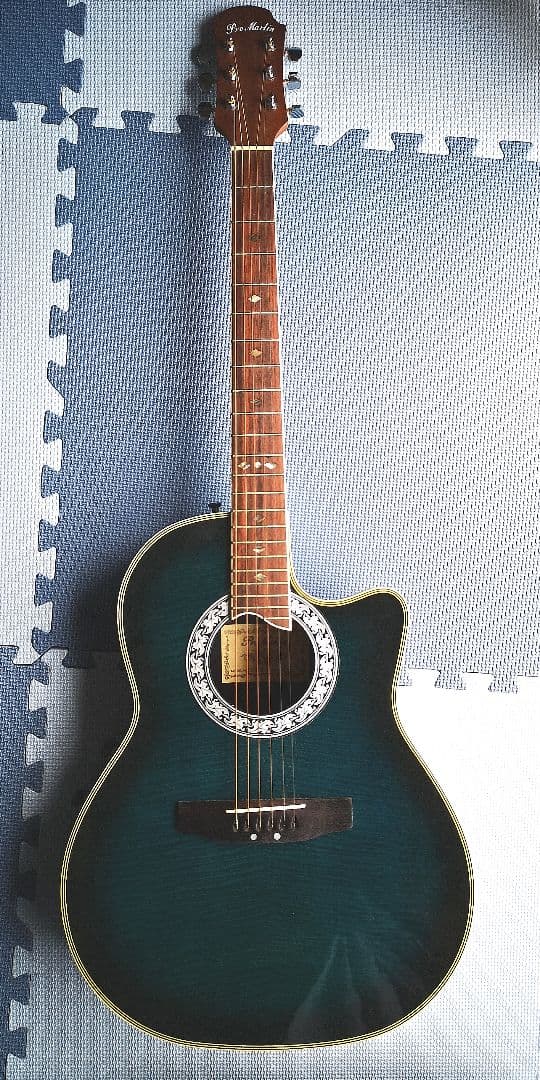 ♦️超レアギター♦️ ProMartin エレアコ EA350BLS ②