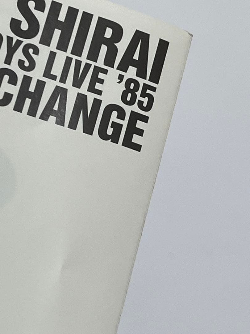 白井貴子 WE MUST CHANGE CRAZY BOYS LIVE DVD