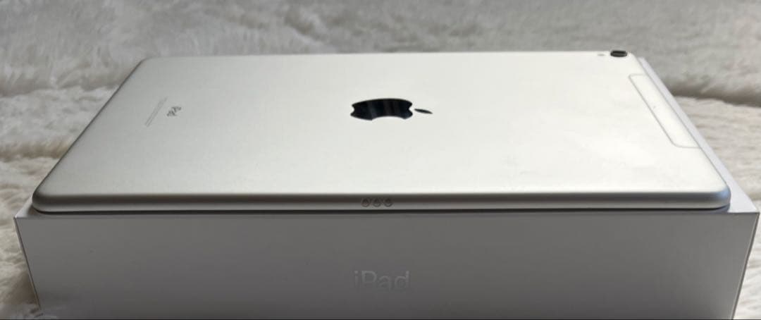 【1台限定価格】iPad Pro 10.5 256GB SIMフリー 【付属品】