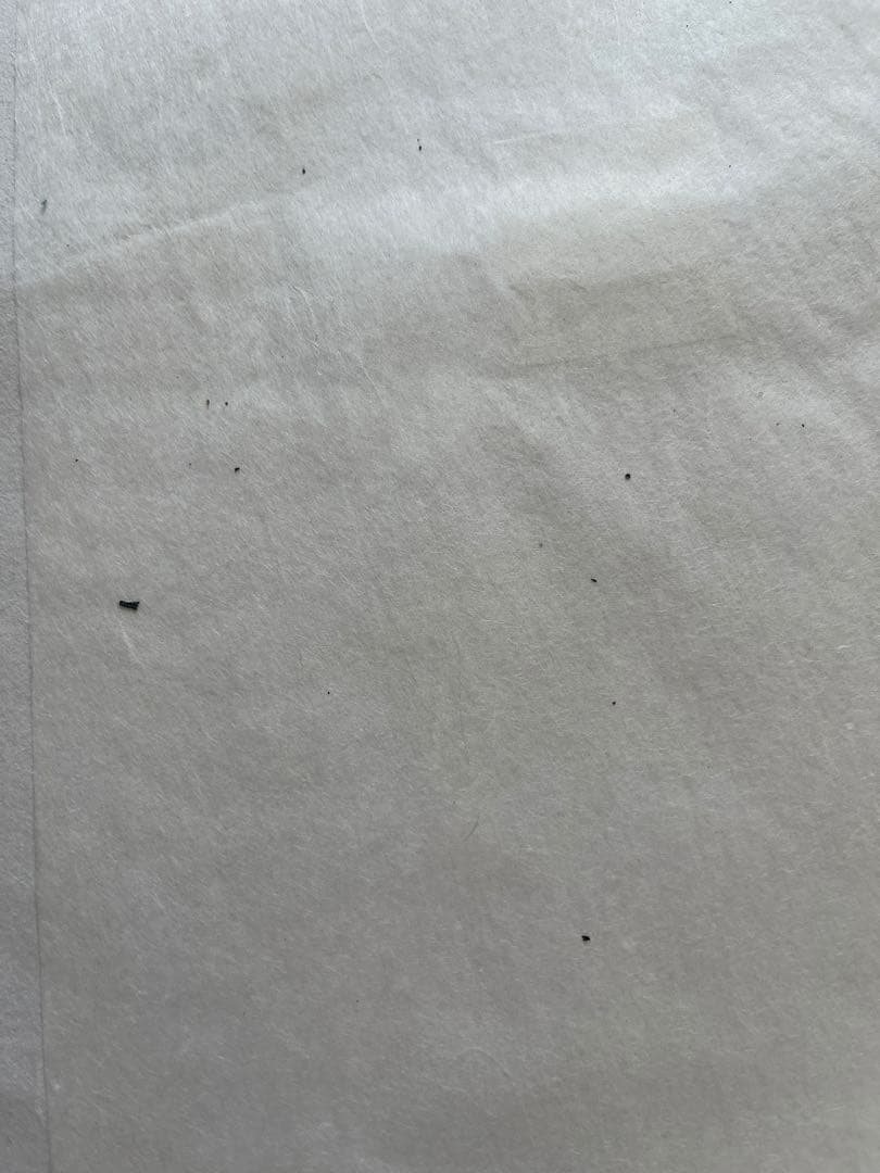 【値下げ】振袖　帯　長襦袢　金箔