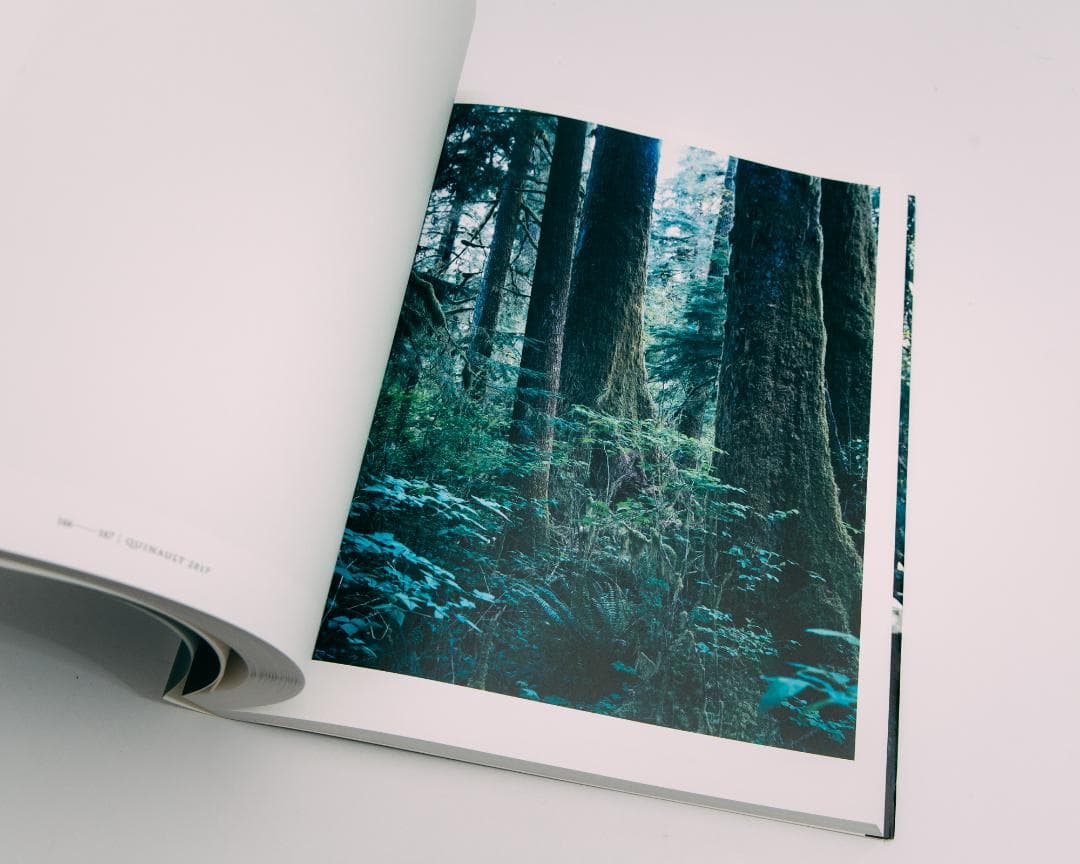 上田義彦写真集 FOREST 印象と記憶 1989-2017