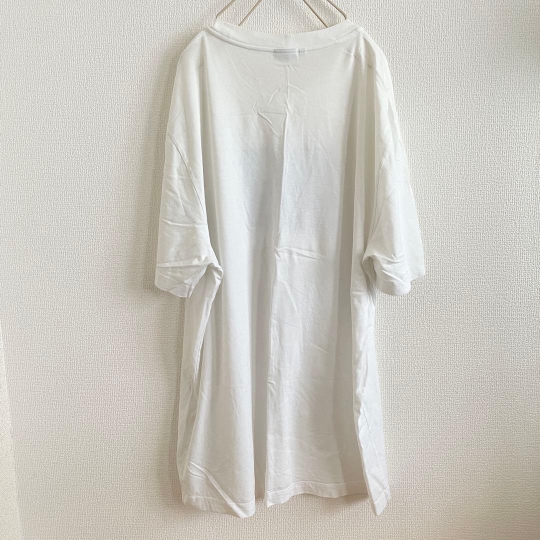 Brioni ブリオーニ　プリントTシャツ　イタリア製　メンズ　XLサイズ