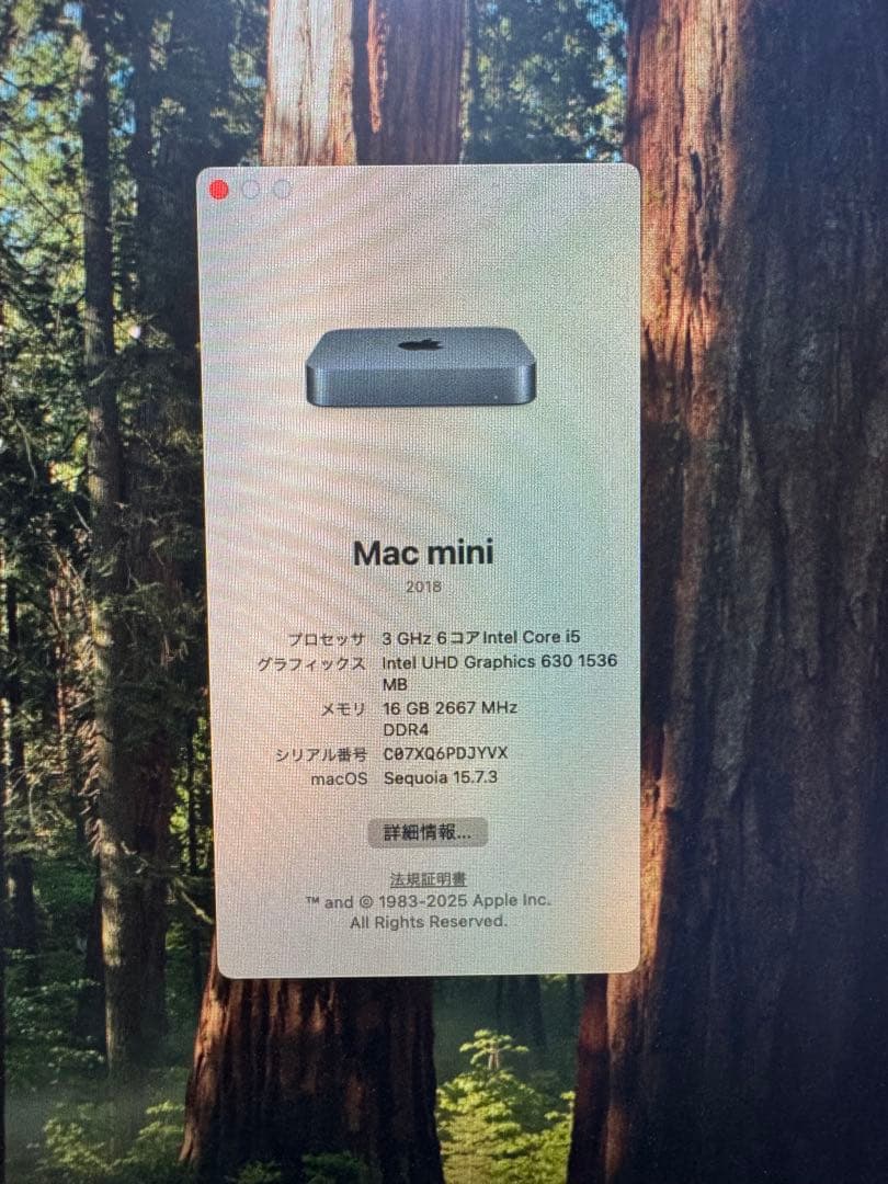 Apple Mac mini 2018 16GB 256GB キーボー