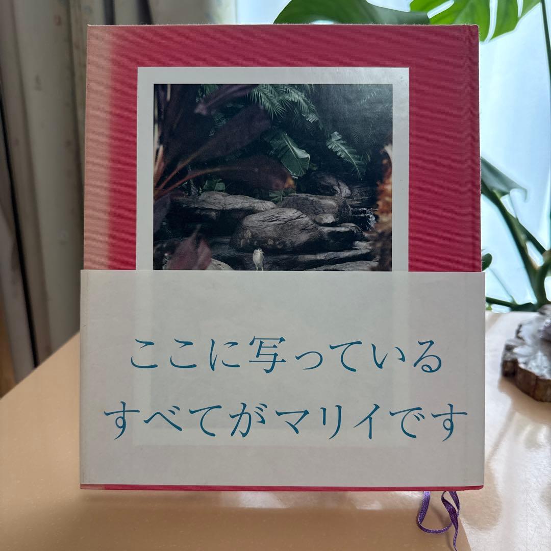 マリイ　松岡一哲　初版　帯付き　MARII　Ittetsu Matsuoka
