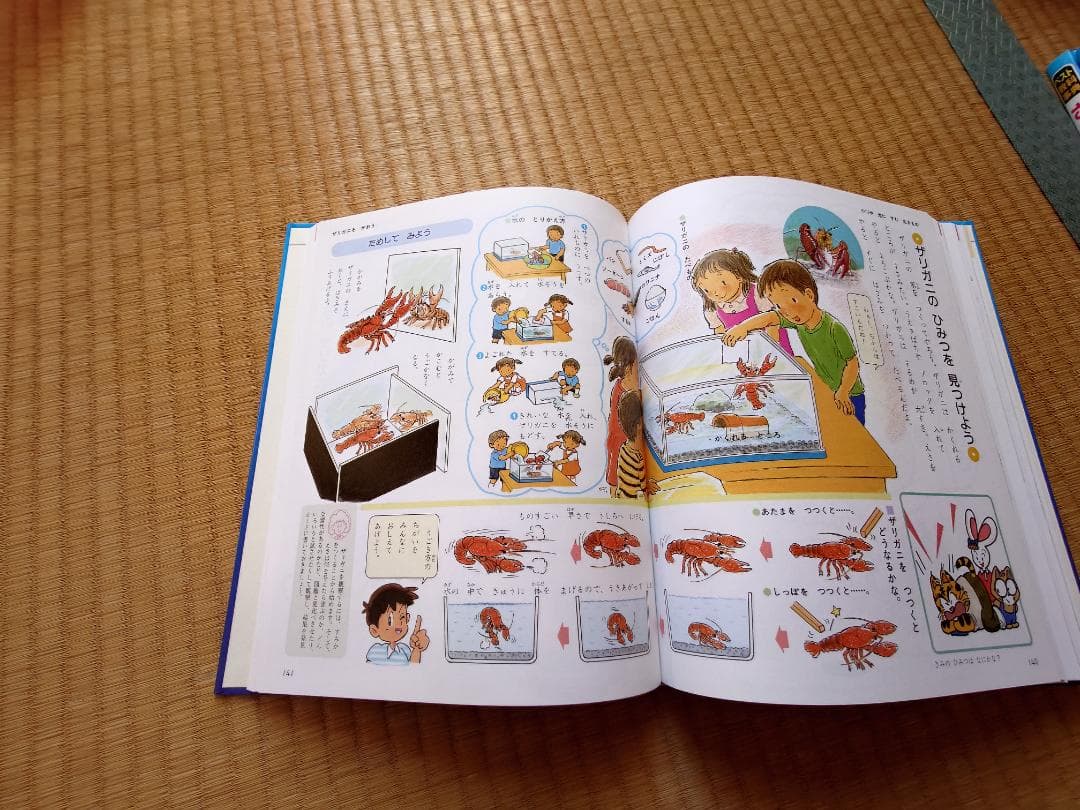 学研  ベスト教科辞典    せいかつ