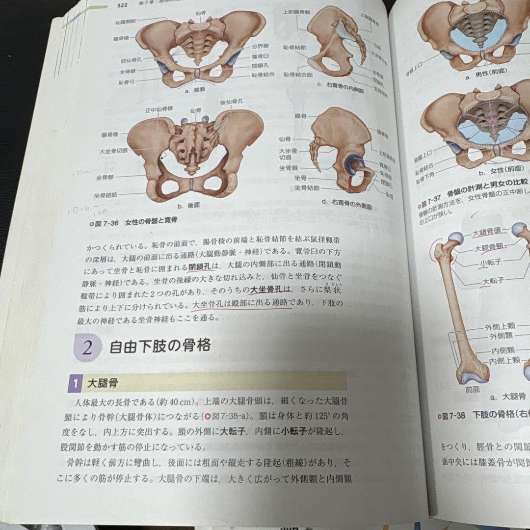医学書院　系統看護学講座　全11巻セット