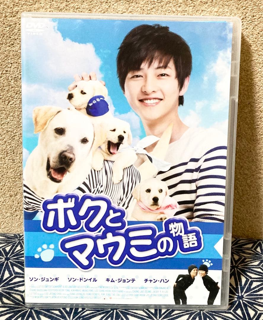 希少 韓流　セル版 DVD ボクとマウミの物語 / ソン・ジュンギ主演作