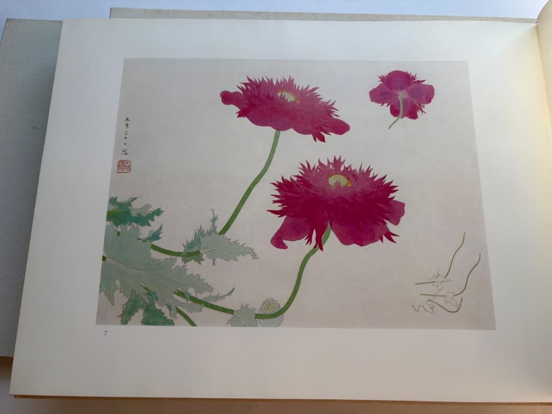 傳神譜　中村岳陵　4冊　写生画集　10.2kg 大型本画集　箱付　日本画　絵画