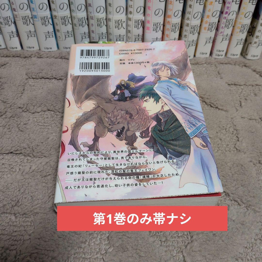 空に響くは竜の歌声シリーズ全19巻セット☆完結