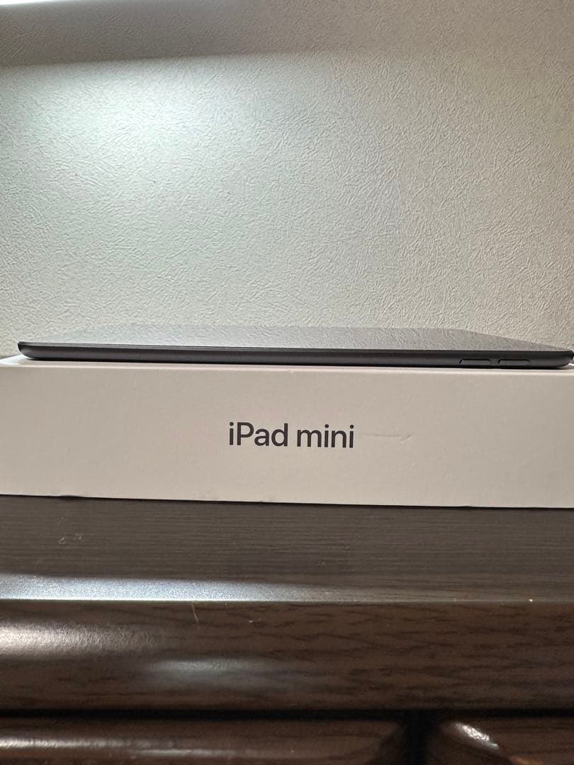 Apple iPad mini 5 Wi-Fi 64GB スペースグレー