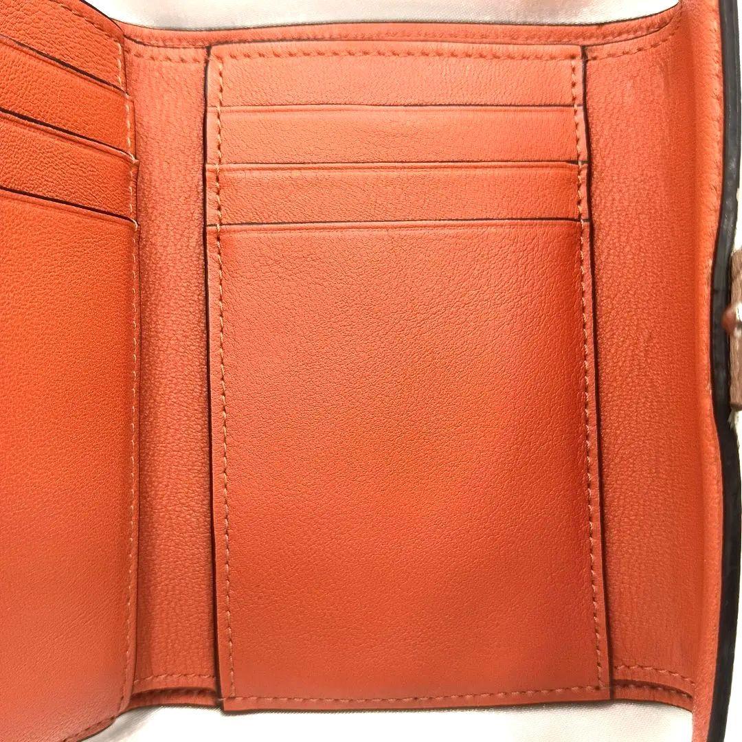 人気色✨現行 LOEWE ロエベ バーティカルウォレット スモール 付属品完備