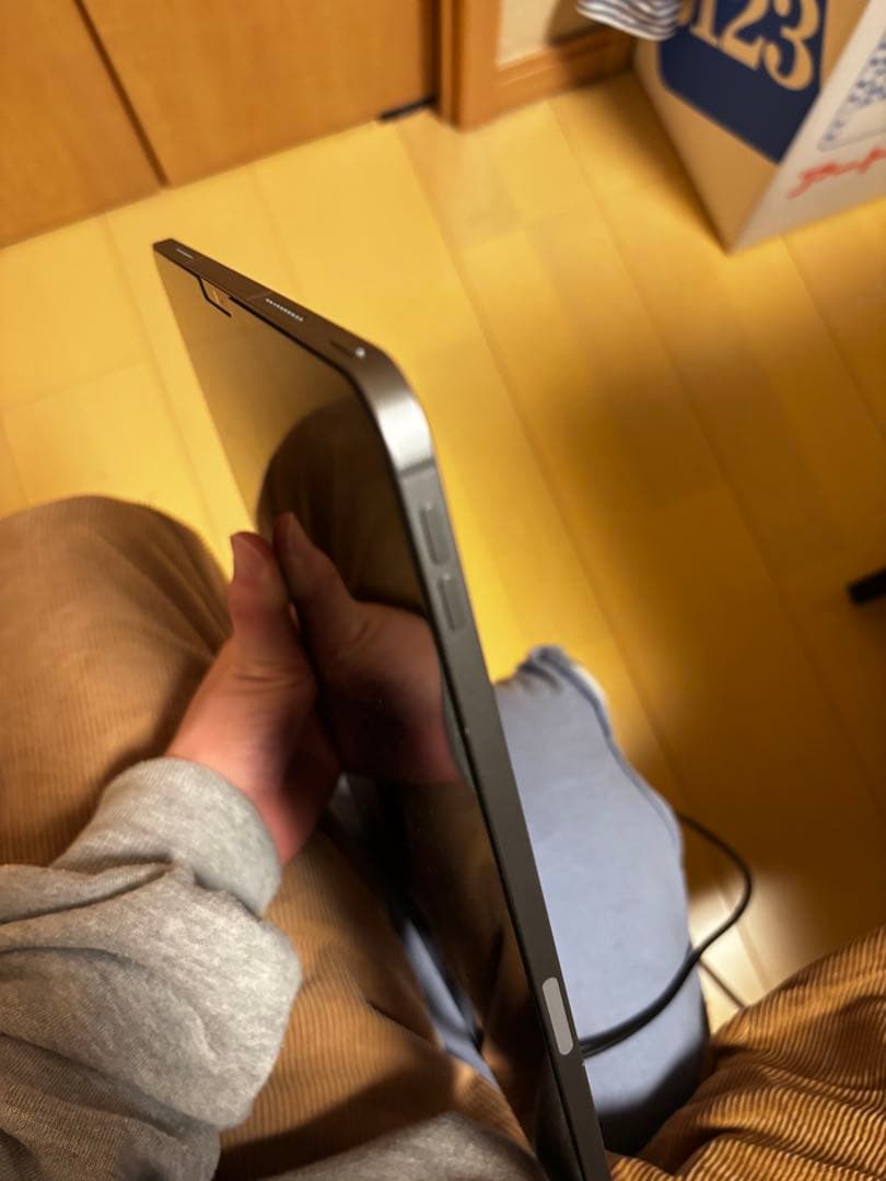 Apple iPad Pro 11インチ スペースグレー　第5世代
