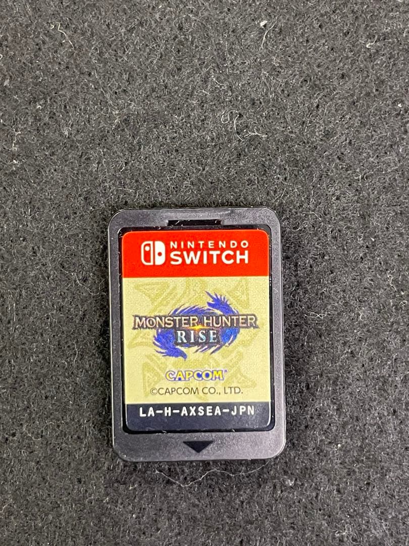 Nintendo Switch Lite 本体 ソフトカバー + ソフト付き