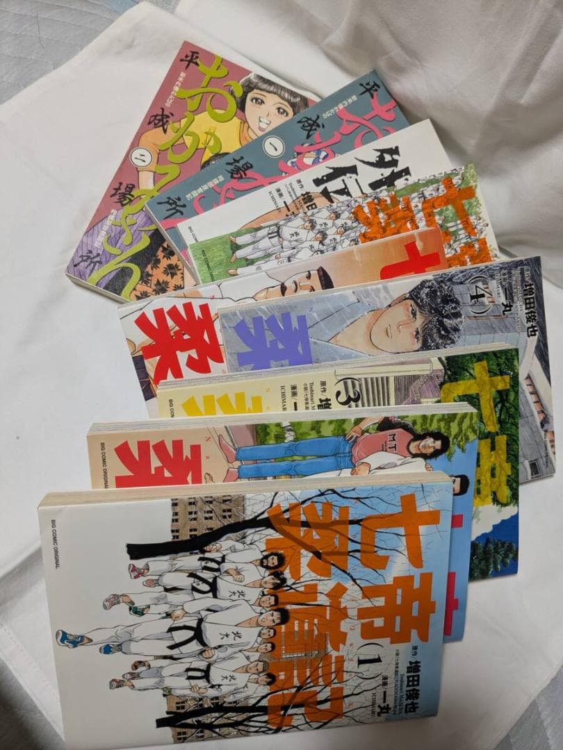 「七帝柔道記 全6巻 + 外伝」「おかみさん平成場所 全2巻」 計9冊　絵：一丸