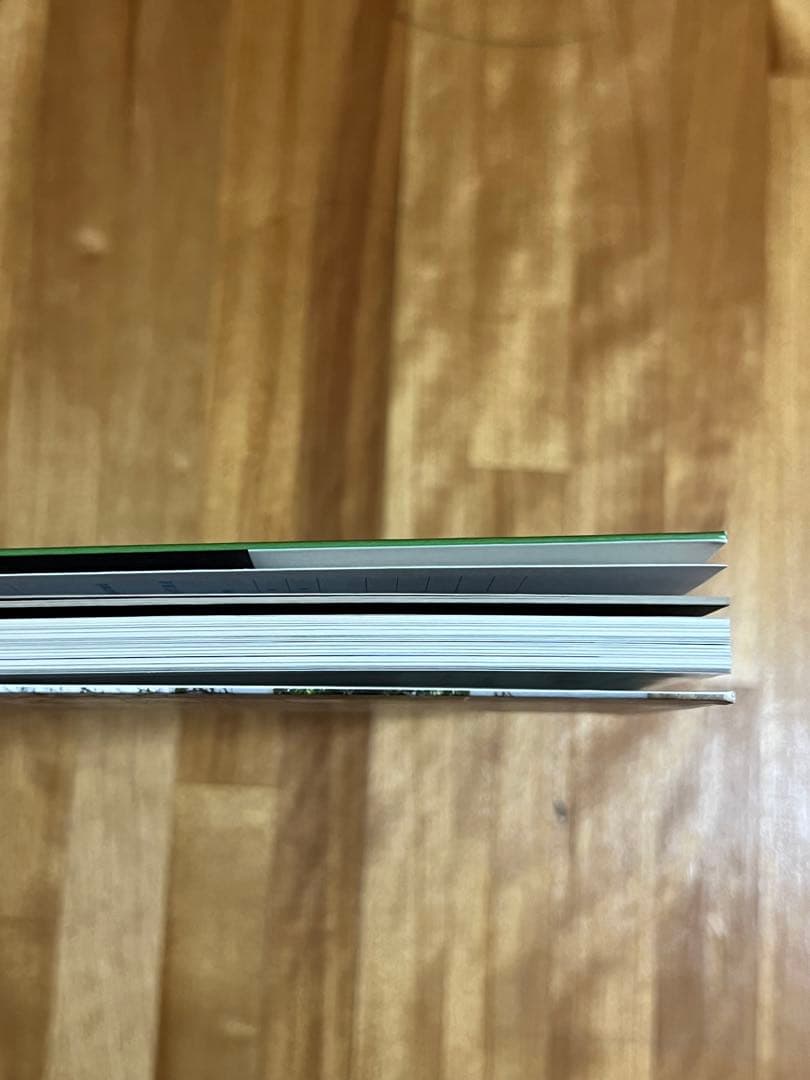 2G No.50 Sou Fujimoto 藤本壮介　建築　雑誌