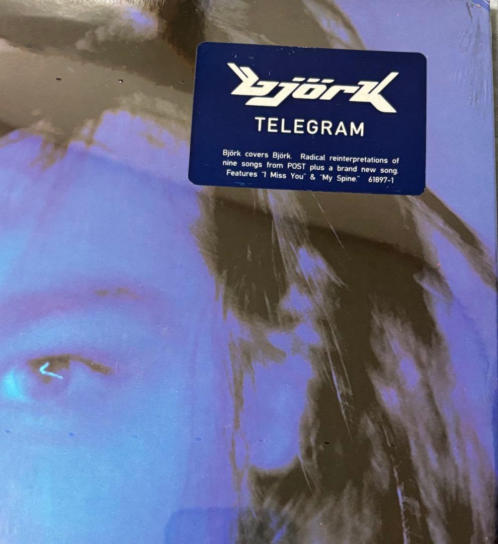 Björk Telegram bjork ビョーク LFO 荒木経惟