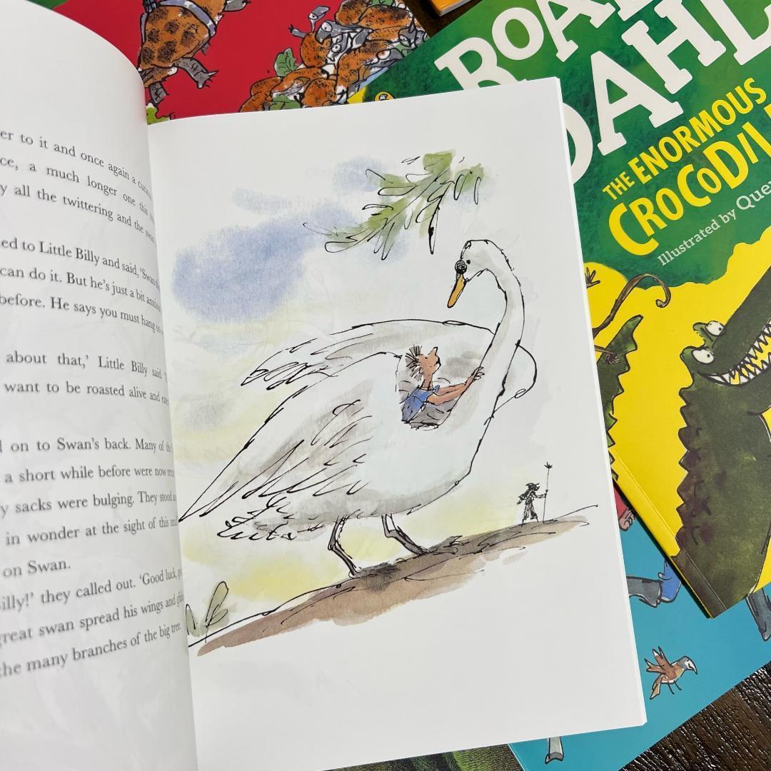新品 大人気 Ｒoald Ｄahl 英語絵本 洋書 20冊セット 音源付