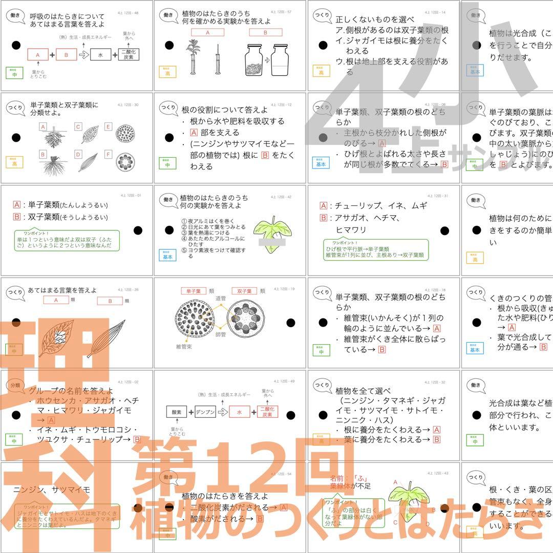 中学受験 暗記カード【4年上 社会・理科 6-19回】組分け対策 予習シリーズ