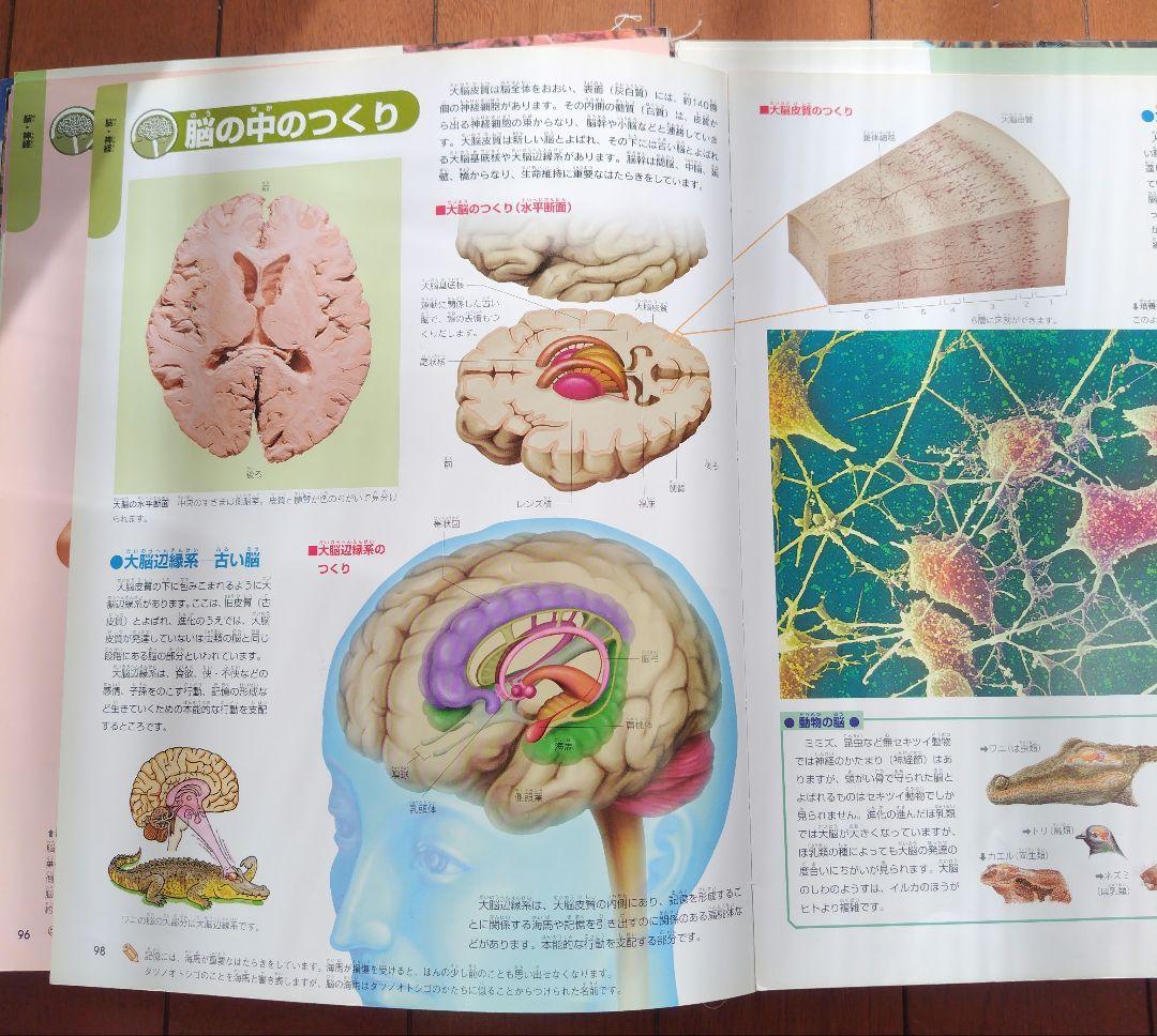 NEW WIDO　学研の図鑑　１〜１５巻
