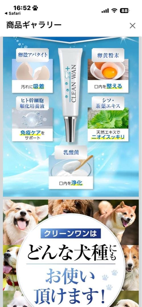 CLEAN WAN デンタルケアジェル 15g 6本セット