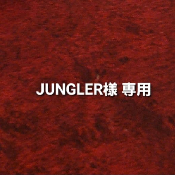 小物 JUNGLER