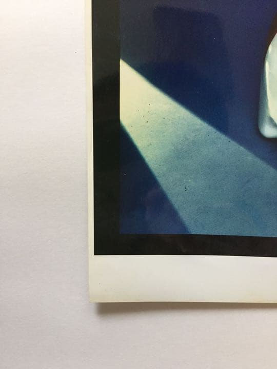 ダウンタウン　ごっつええ感じ　プロモーション写真