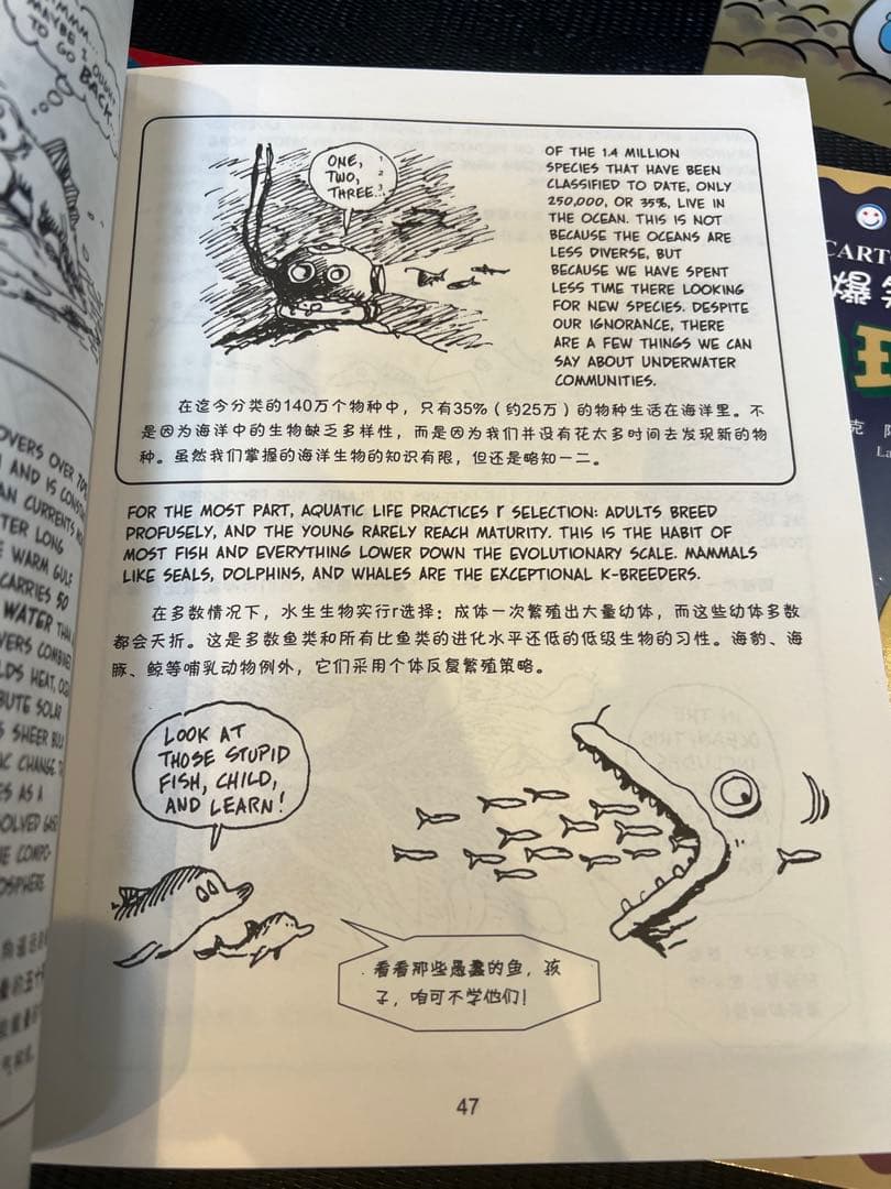 英語絵本　the cartoon guide to シリーズ4冊